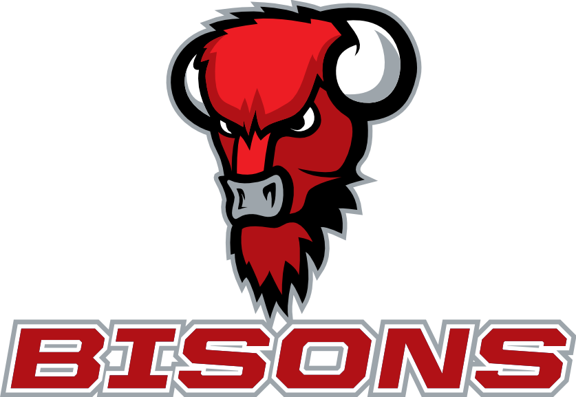 Надпись Bizon. Логотип Энергетик Бизон. Герб с бизоном. Автомобиль с логотипом Бизон.